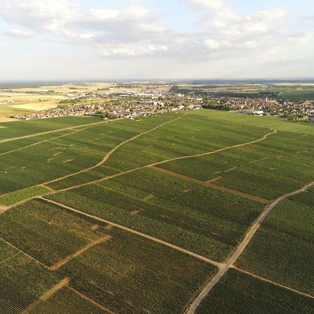 Les Portes Du Vignoble Nuits-Saint-Georges Eksteriør billede