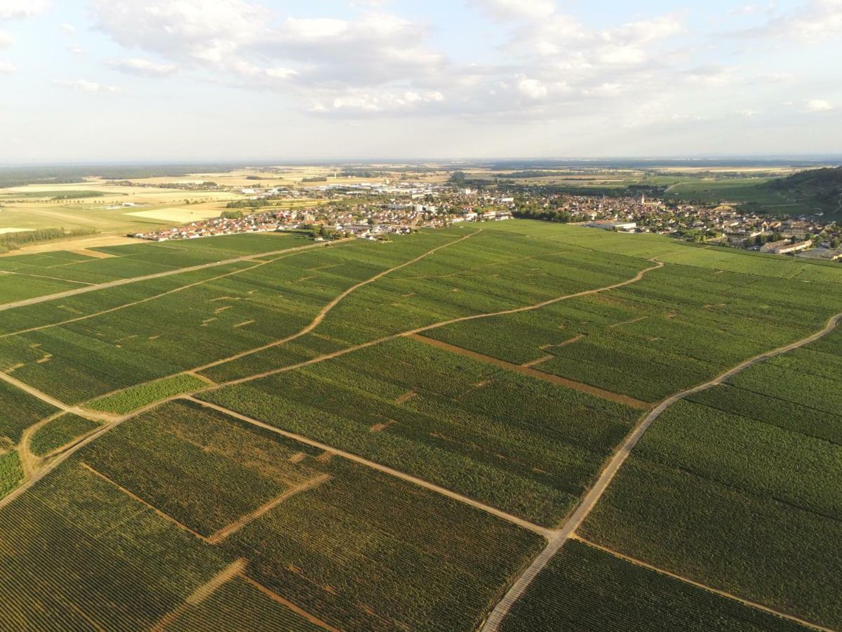 Les Portes Du Vignoble Nuits-Saint-Georges Eksteriør billede